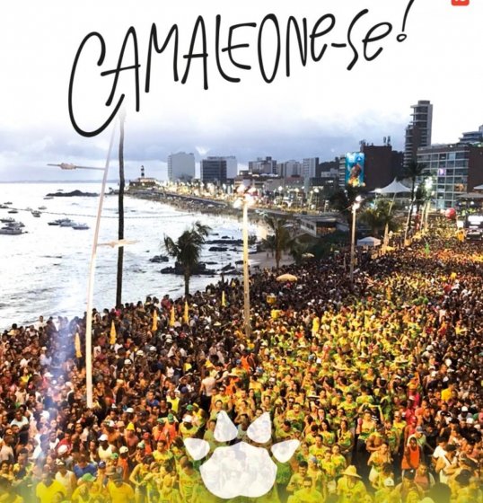 Camaleão Carnaval 2020: chegou a hora de camaleonizar com a gente!