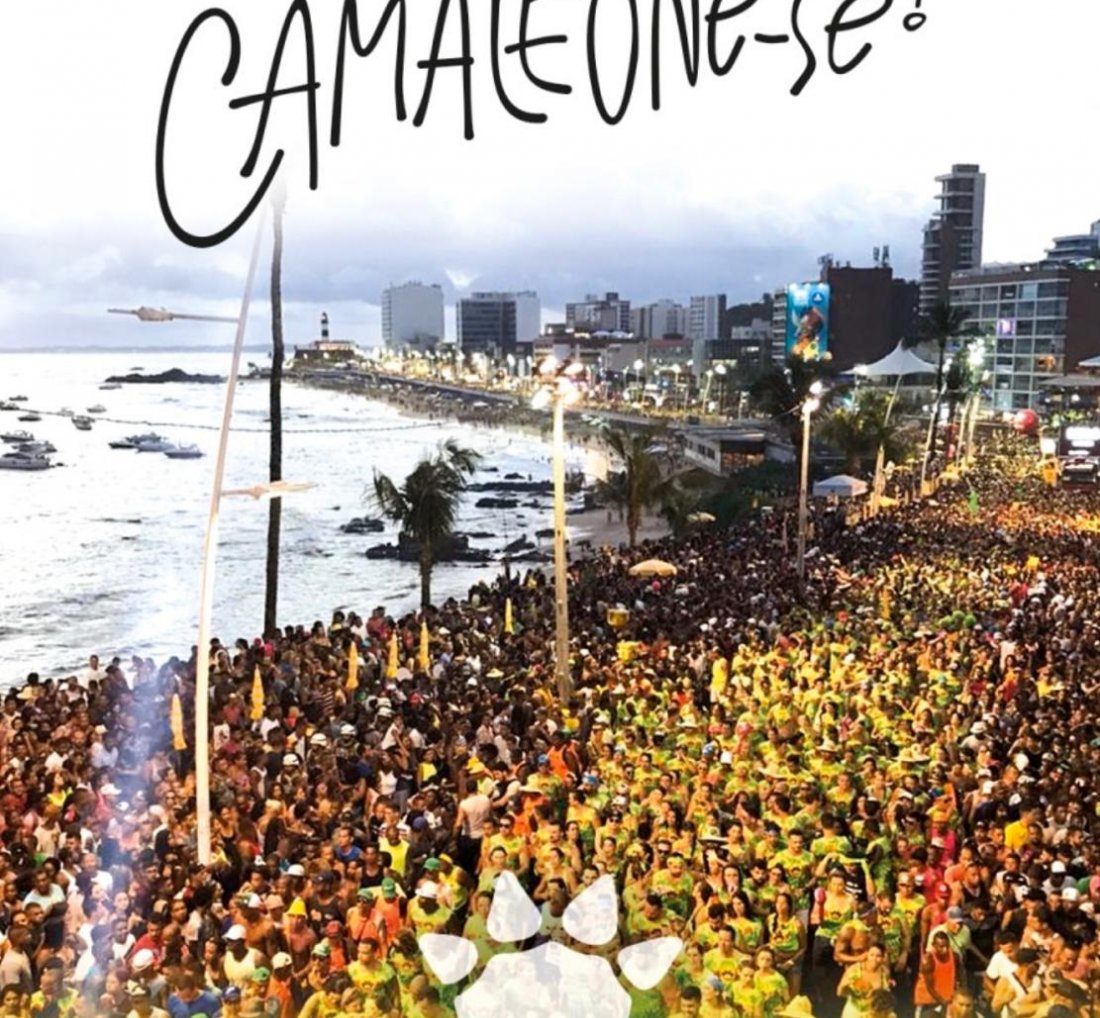 [Camaleão Carnaval 2020: chegou a hora de camaleonizar com a gente!]